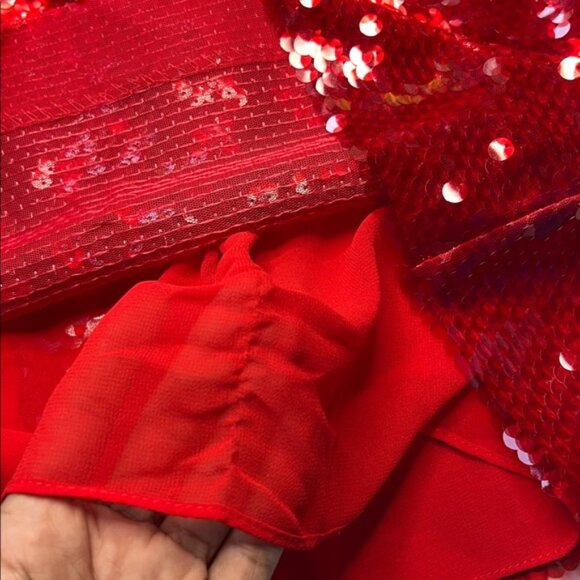 Zara Skirt SEQUIN MIDI ZW COLLECTION holiday party festive maximalism bold - Picture 13 of 16